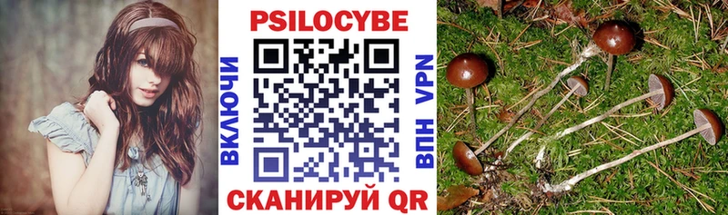 Псилоцибиновые грибы Cubensis  даркнет формула  Краснодар 